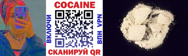 Купить закладки  Светогорск  COCAIN FishScale 