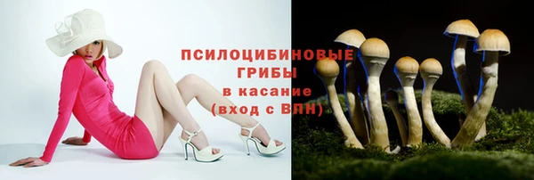 мет Вяземский