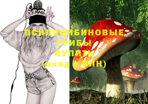 мет Вяземский