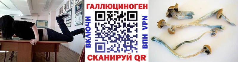 Купить  Светогорск  Псилоцибиновые грибы GOLDEN TEACHER 